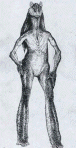 Image of Jara Jar